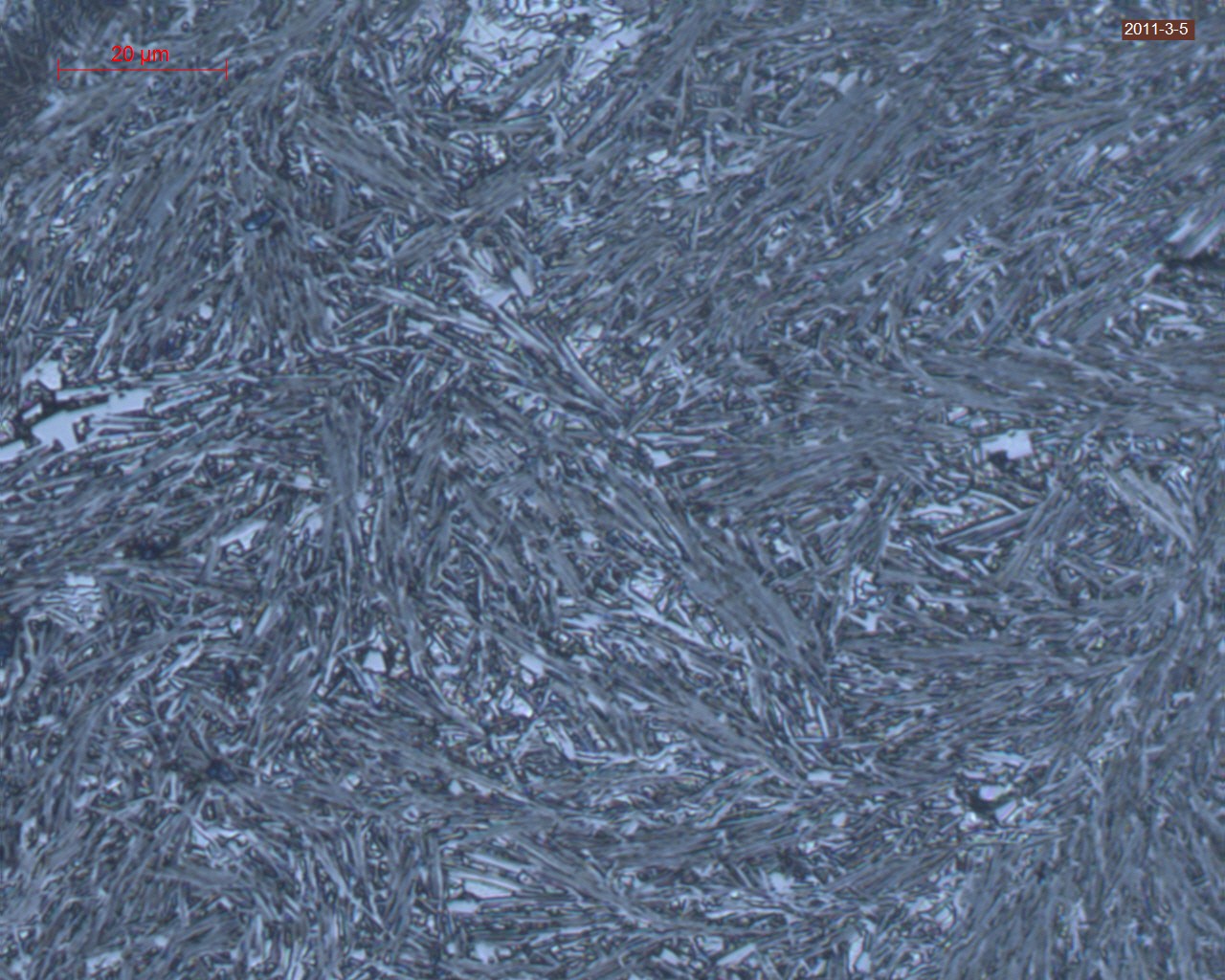 キャスタン(W2C)粉末の商品イメージ