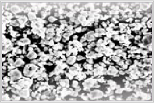 純モリブデン粉末 - Mo≧99.95%の商品イメージ