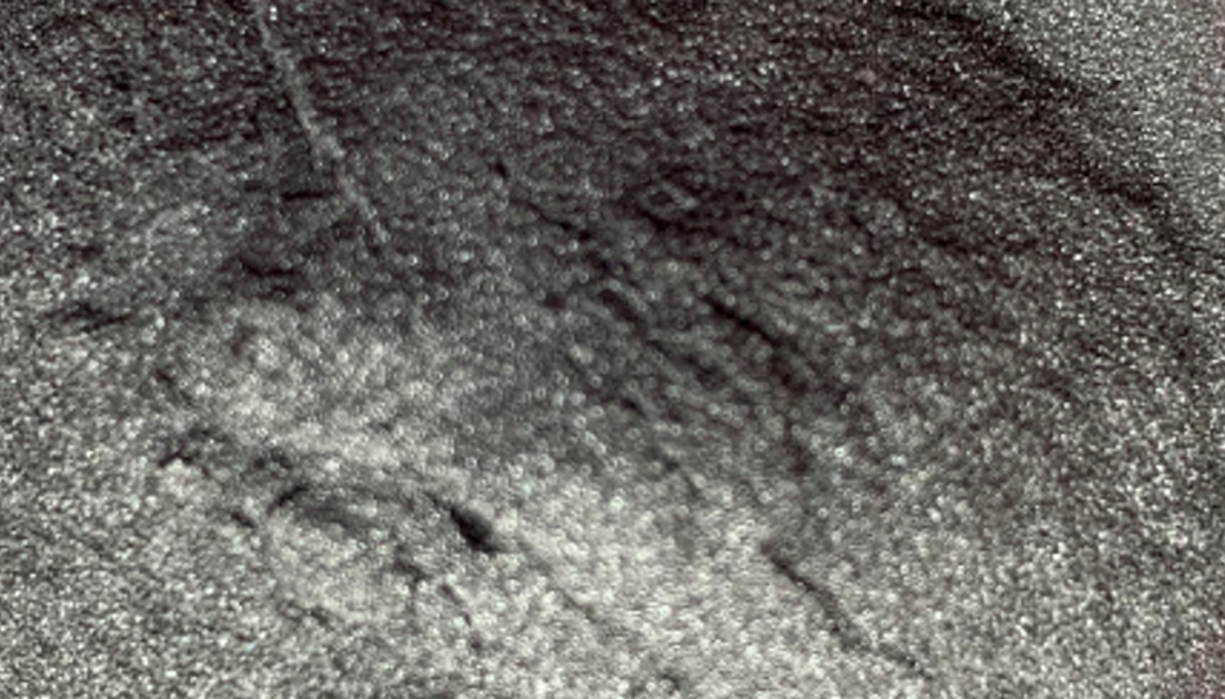 フェロモリブデン粉末の商品イメージ