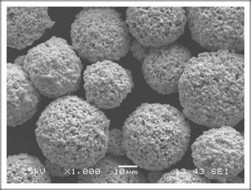 溶射用粉末 WC-10Co-4Crの商品イメージ
